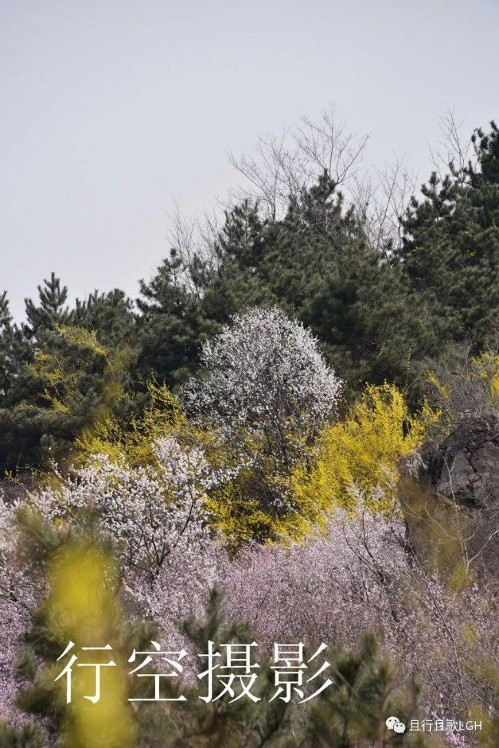 米佧邢克垒终于迎来了订婚，这部电视剧为何越来越甜？游戏画面