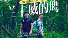 单峰逃脱