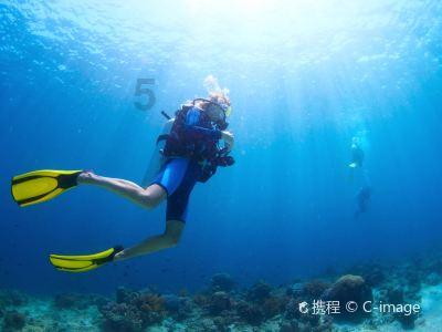 孕妇梦见山体滑坡是什么意思?-知识星球平台,开启你的知识之旅!