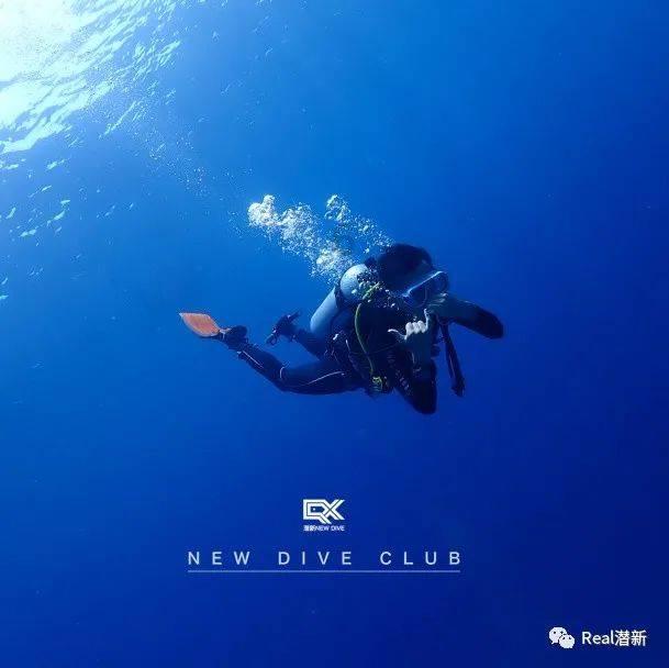 泰拉瑞亚