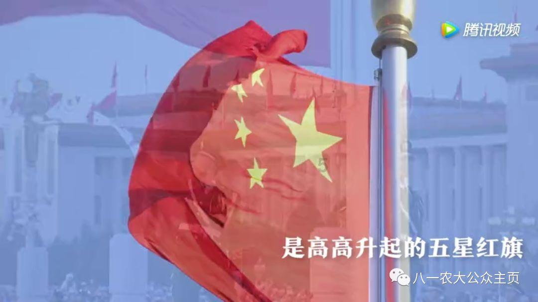 【医学小常识】解密中医养生之道:免疫力的奥秘