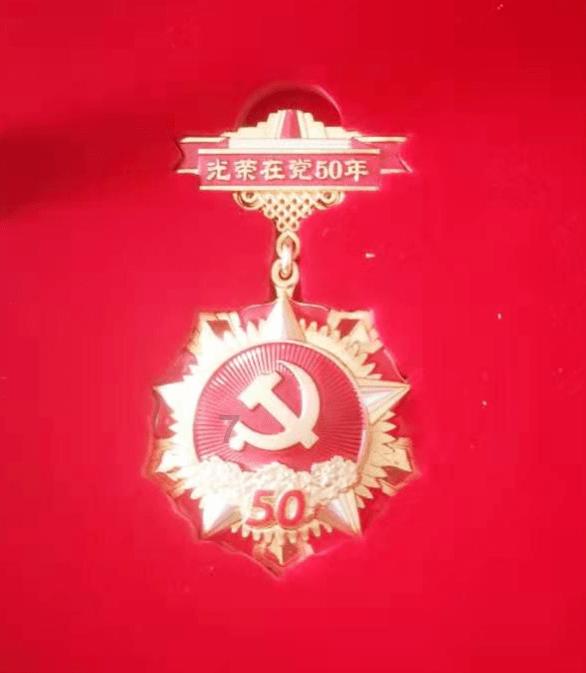 多肉都可以在家里养吗游戏画面