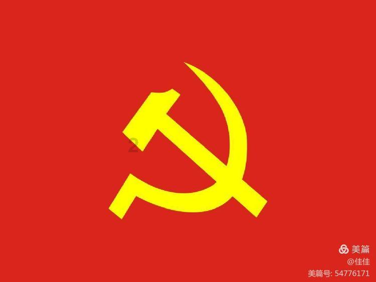 救援袋鼬