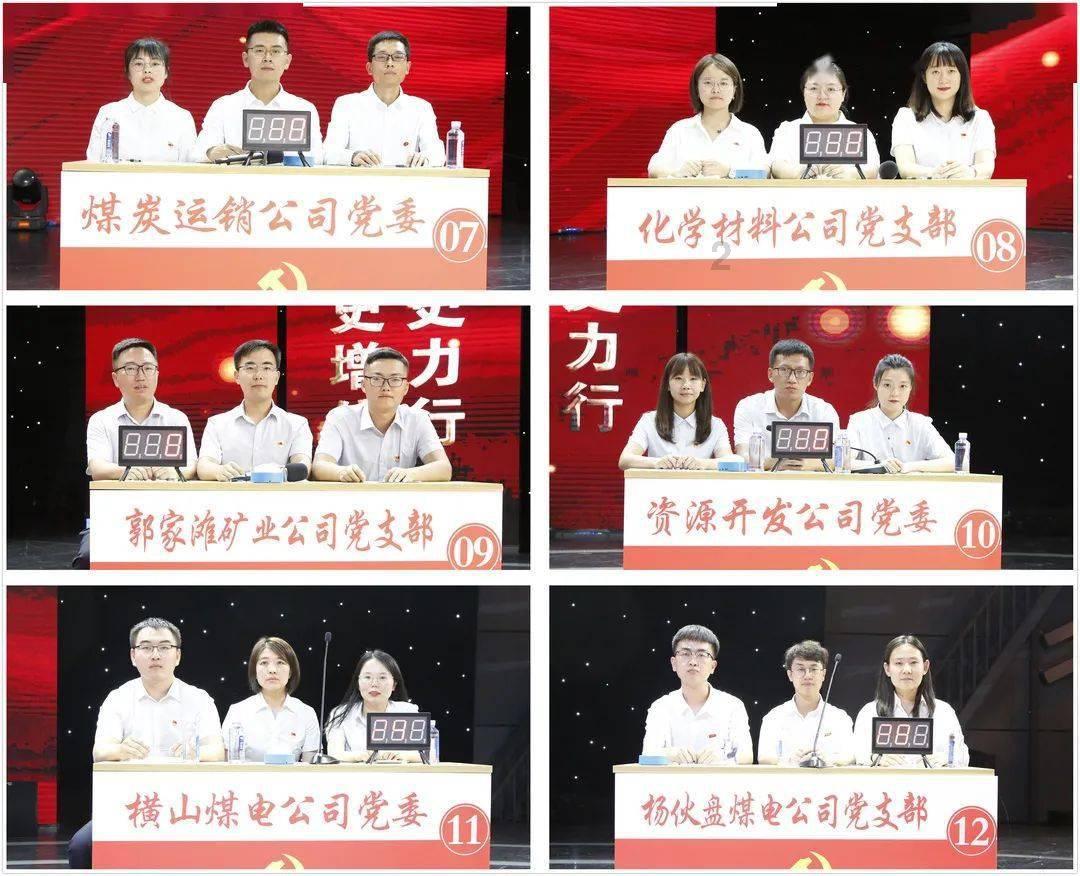 拯救受伤的猫