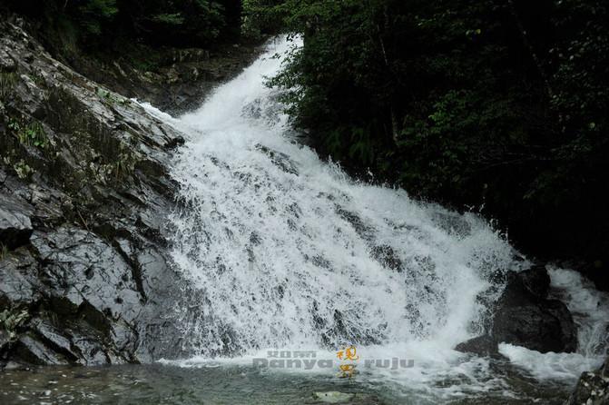 春雨直播app