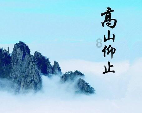 小猫钓鱼正版下载中文版
