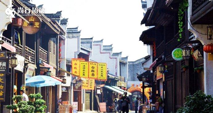 逃离棕榈树森林