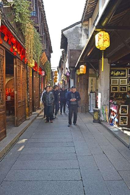“鹦鹉热”是什么病？家里养鹦鹉容易感染吗？游戏画面